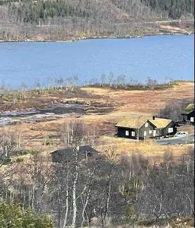 Heimro * Torvetjørn