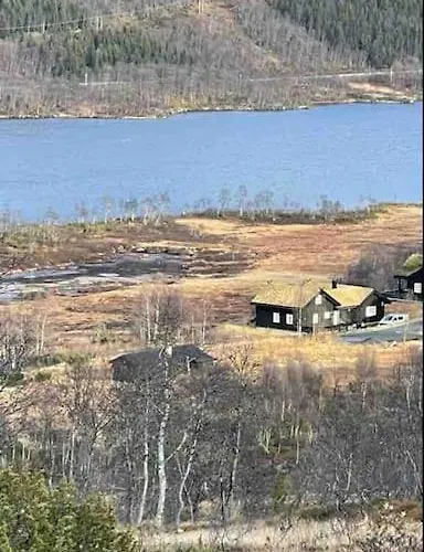 Heimro * Torvetjørn