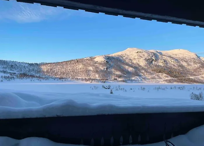 Heimro * Torvetjørn
