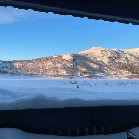 Heimro * Torvetjørn